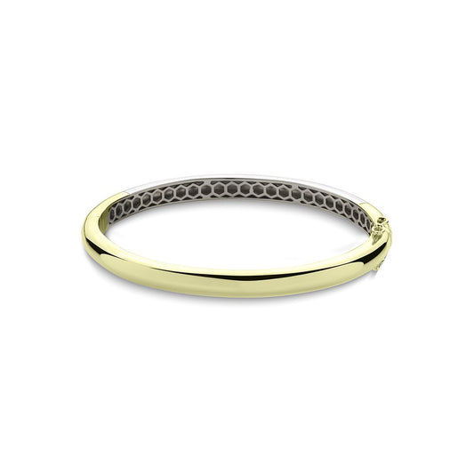 Yellow Gold Plated 6mm Plain D Hollow Bangle
