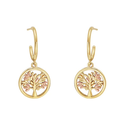 Clogau 2025 earrings outlet
