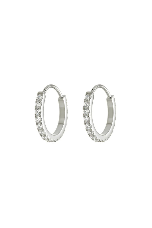 Tish Lyon Titanium 12mm Crystal Hoop Earrings
