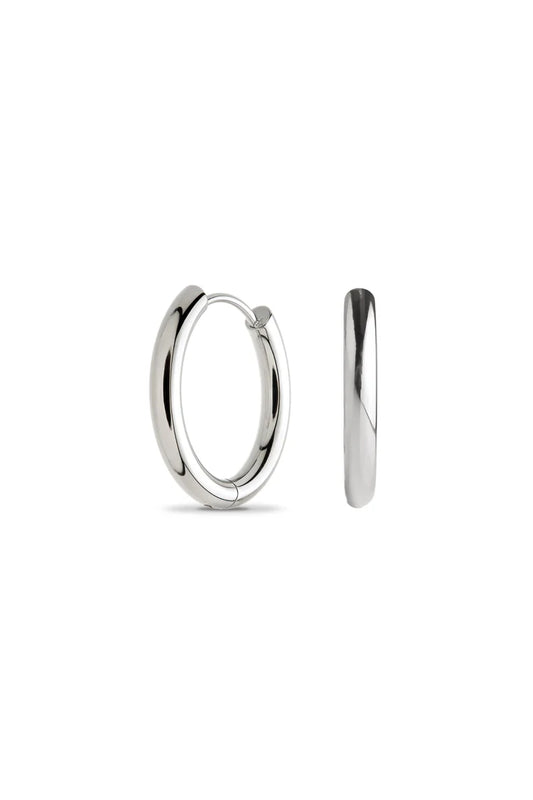 Tish Lyon Titanium 10mm Hollow Tubular Hoop Earrings