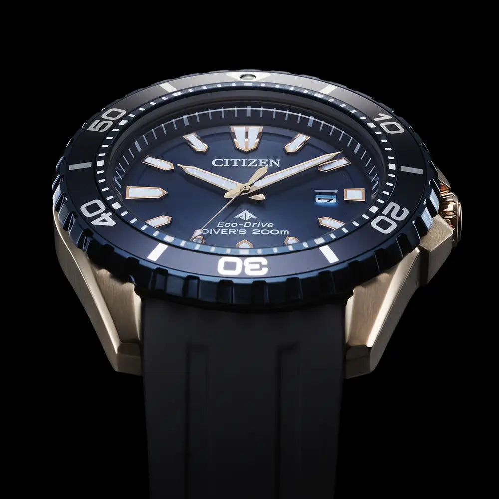 Citizen Promaster Diver BN0196-01L