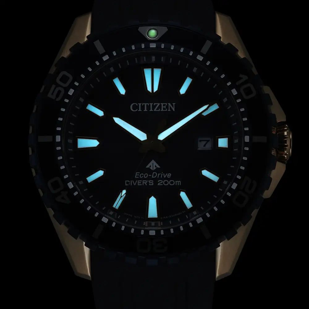 Citizen Promaster Diver BN0196-01L