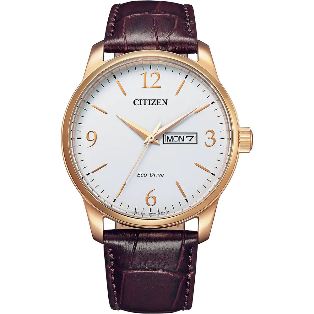 Gold plated 2025 citizen watch