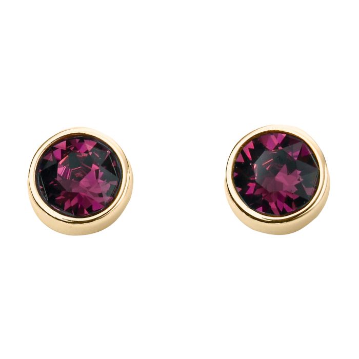 Yellow Gold Plated February Birthstone Earrings