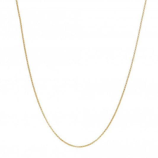 Hot Diamonds x Golden Edit Embrace 45cm Belcher Chain CH103