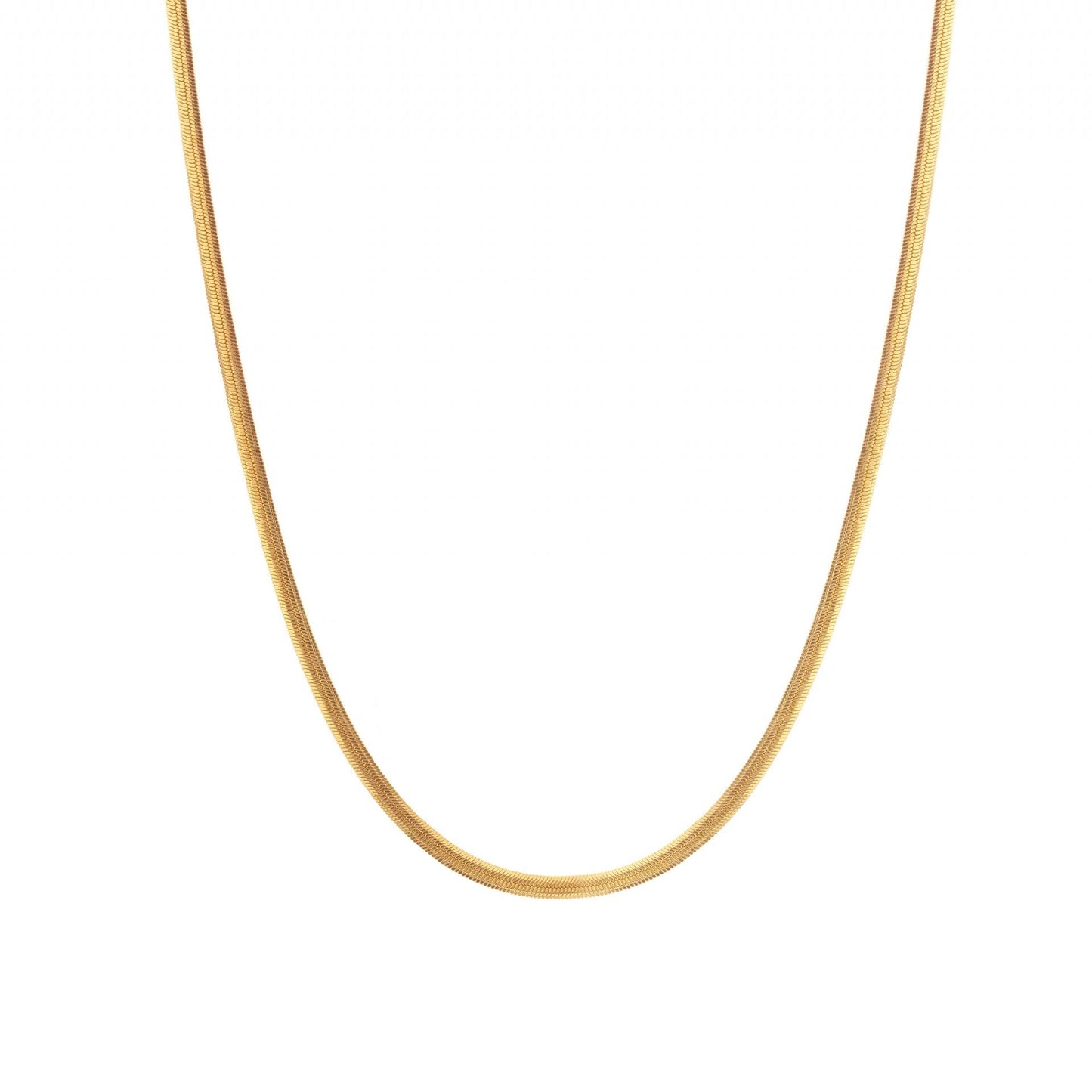 Hot Diamonds x Golden Edit Embrace Oval Snake Chain CH101