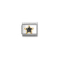 Nomination Composable Classic Gold Black Glitter Star 030220/20