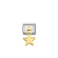 Nomination Charm Steel & 18K Heart Charm 031800/01
