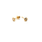 18ct Yellow Gold Rubover Set Brilliant Cut Diamond Stud Earrings