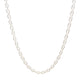 Sterling Silver 20" Prince of Wales Rope Chain