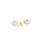 9ct Yellow Gold Freshwater Round Cultured Pearl 10-11mm Stud Earrings