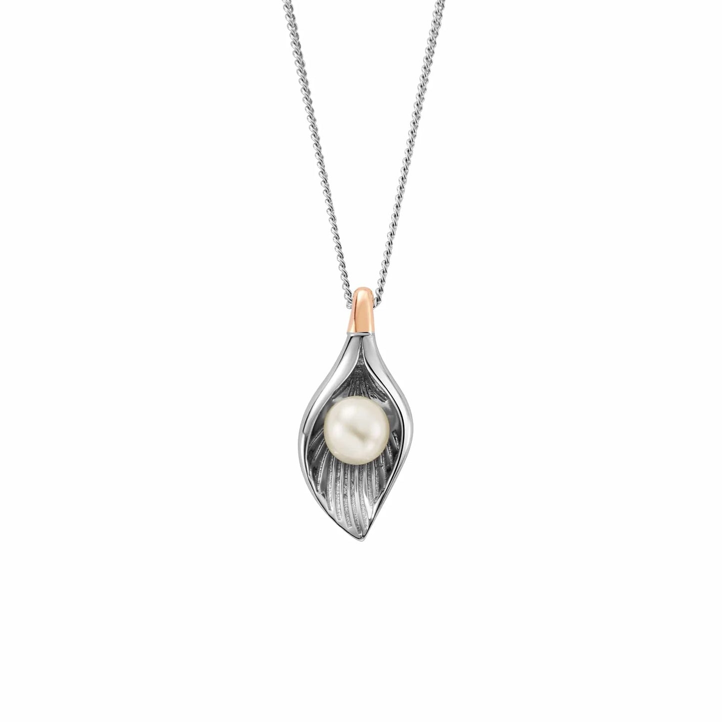 Clogau Beachcomber Shell Necklace 3SLYV0790