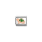 Nomination Classic Rose Gold Green Enamel Tortoise Charm 430205/35