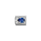 Nomination Composable Classic Blue and White Cubic Zirconia Charm 330329/06