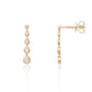 9ct Yellow Gold 0.20ct Diamond Dropper Earrings
