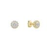 Diamonfire Yellow Gold Plated Cubic Zirconia Stud Earrings