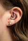 Tish Lyon Titanium Daith Hoop Earring (Single)