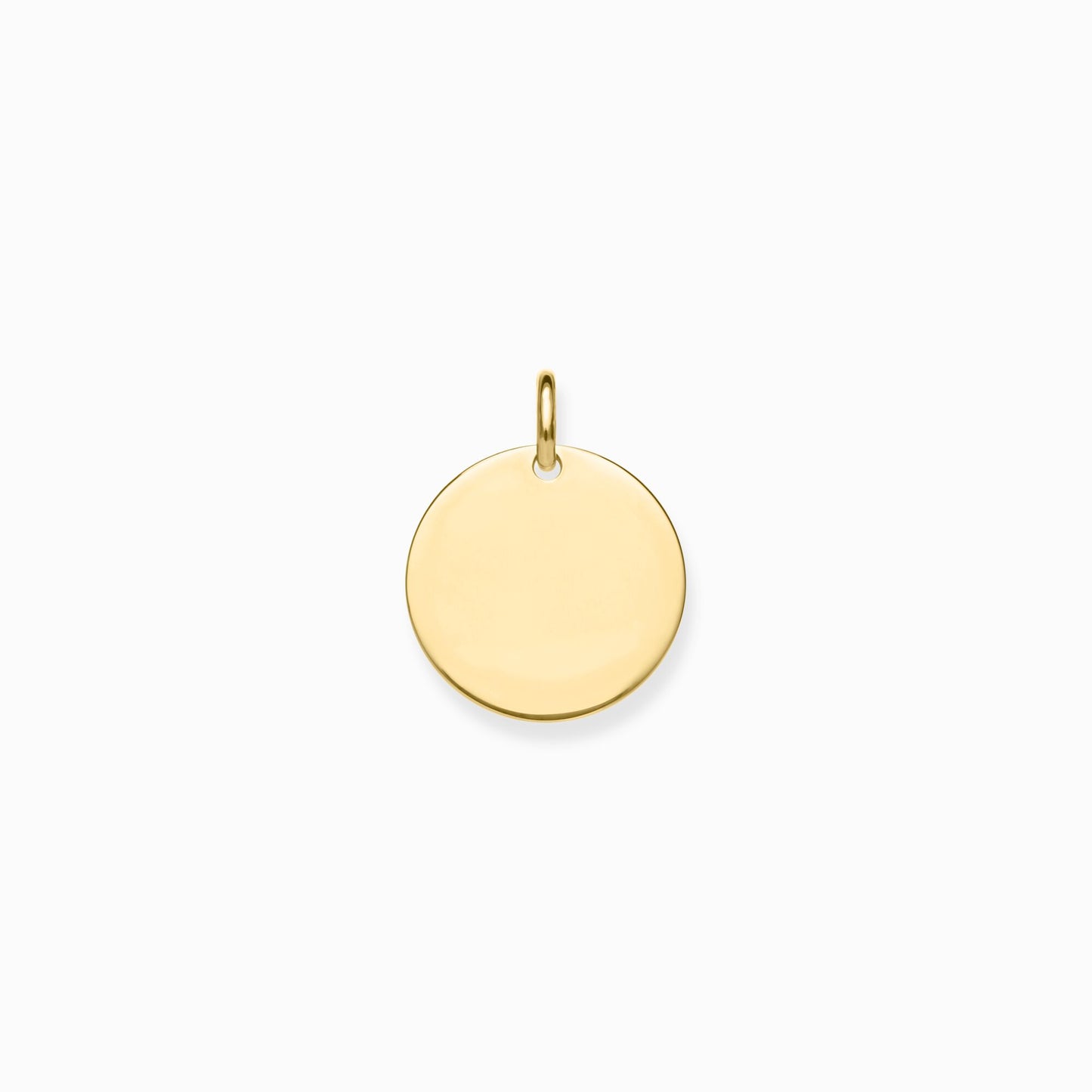 Ygp Coin Pendant