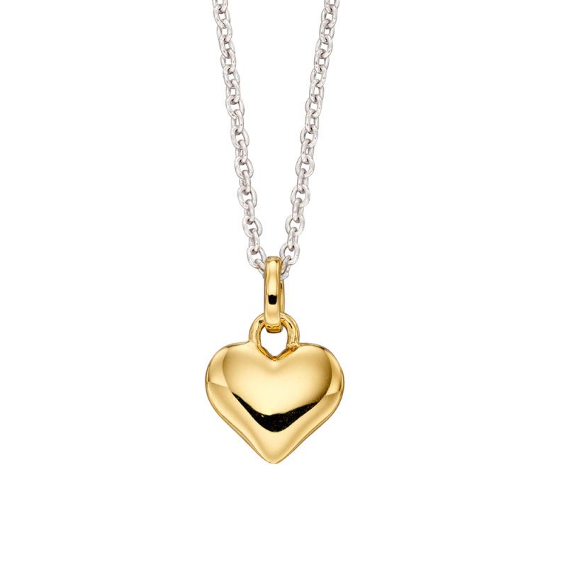 Little Star Sterling Silver and Yellow Gold Plated Heart Necklace LSN0 ...