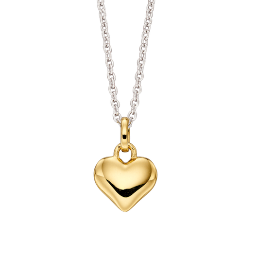 Little Star Sterling Silver and Yellow Gold Plated Heart Necklace LSN0192