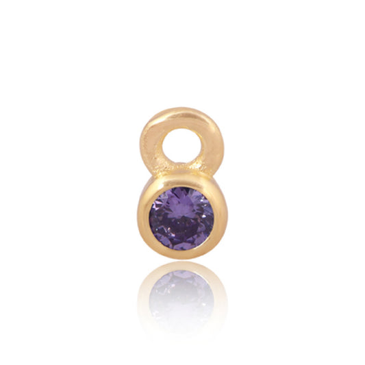 Permanent Yellow Gold Vermeil Silver Charm Purple Cubic Zirconia February Pj-Gv2165