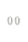 Tish Lyon Titanium 12mm Crystal Hoop Earrings
