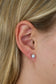 Tish Lyon Round Rubover Moissanite Titanium Stud Earrings