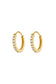 Tish Lyon Yellow Gold PVD Titanium Crystal Hoop Earrings 12mm Medium