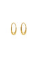 Tish Lyon Yellow Gold PVD Titanium 10mm Hollow Hoop Earrings