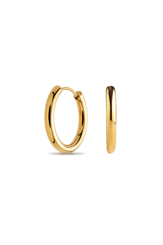 Tish Lyon Yellow Gold PVD Titanium 10mm Hollow Round Hoop Earrings