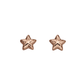 Little Star Amelia Rose Plated Star Studs LSE0150