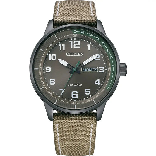 Citizen Grey Dial Full Figure Black Steel Case Canvas Strap Watch BM8595-16H