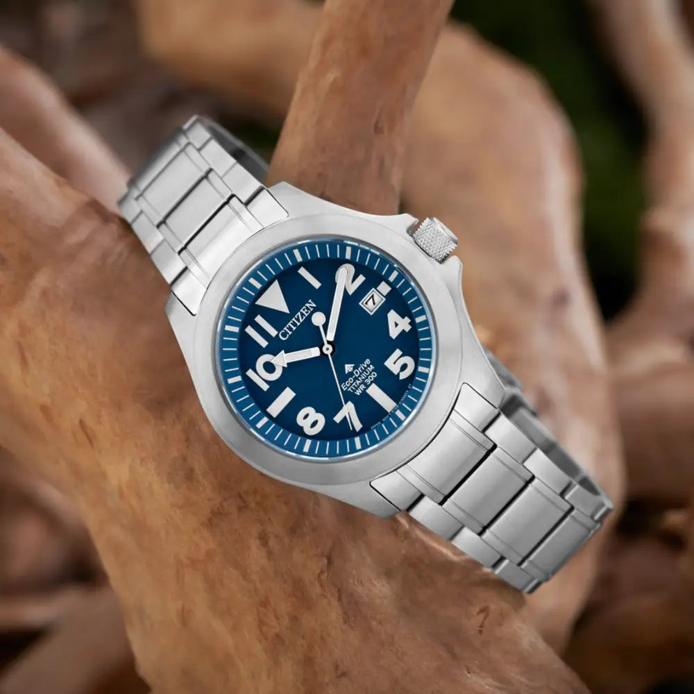 Bracelet citizen promaster on sale