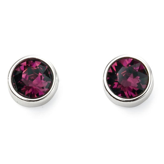 Sterling Silver February Birthstone Stud Earrings