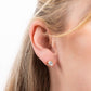 Diamonfire Yellow Gold Plated 2ct Cubic Zirconia 6 Claw Earrings