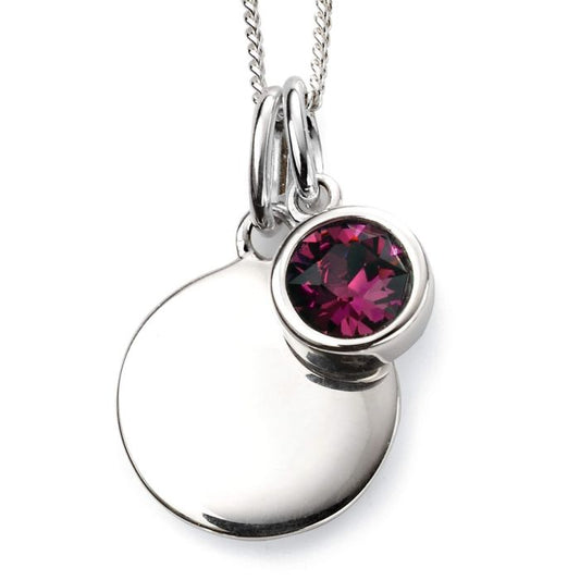 Sterling Silver February Birthstone Necklace