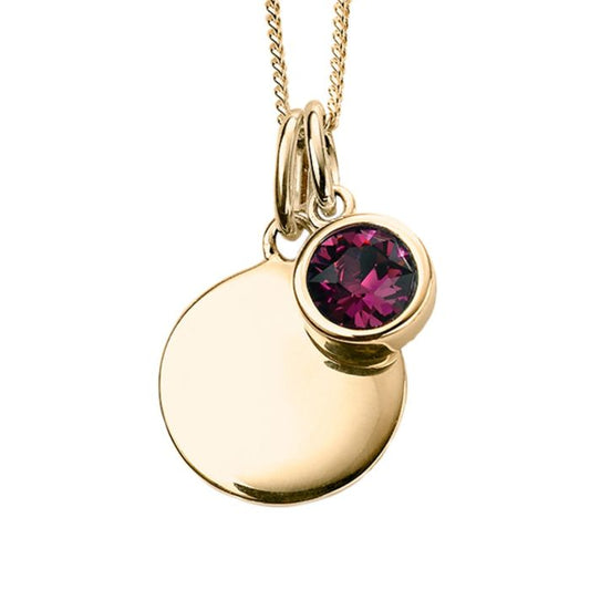 Yellow Gold Plated February Birthstone Necklace