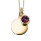 Yellow Gold Plated February Birthstone Necklace