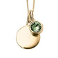 Yellow Gold Plated August Birthstone Necklace