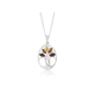 Sterling Silver Amber Pendant and Chain - Judith Hart Jewellers